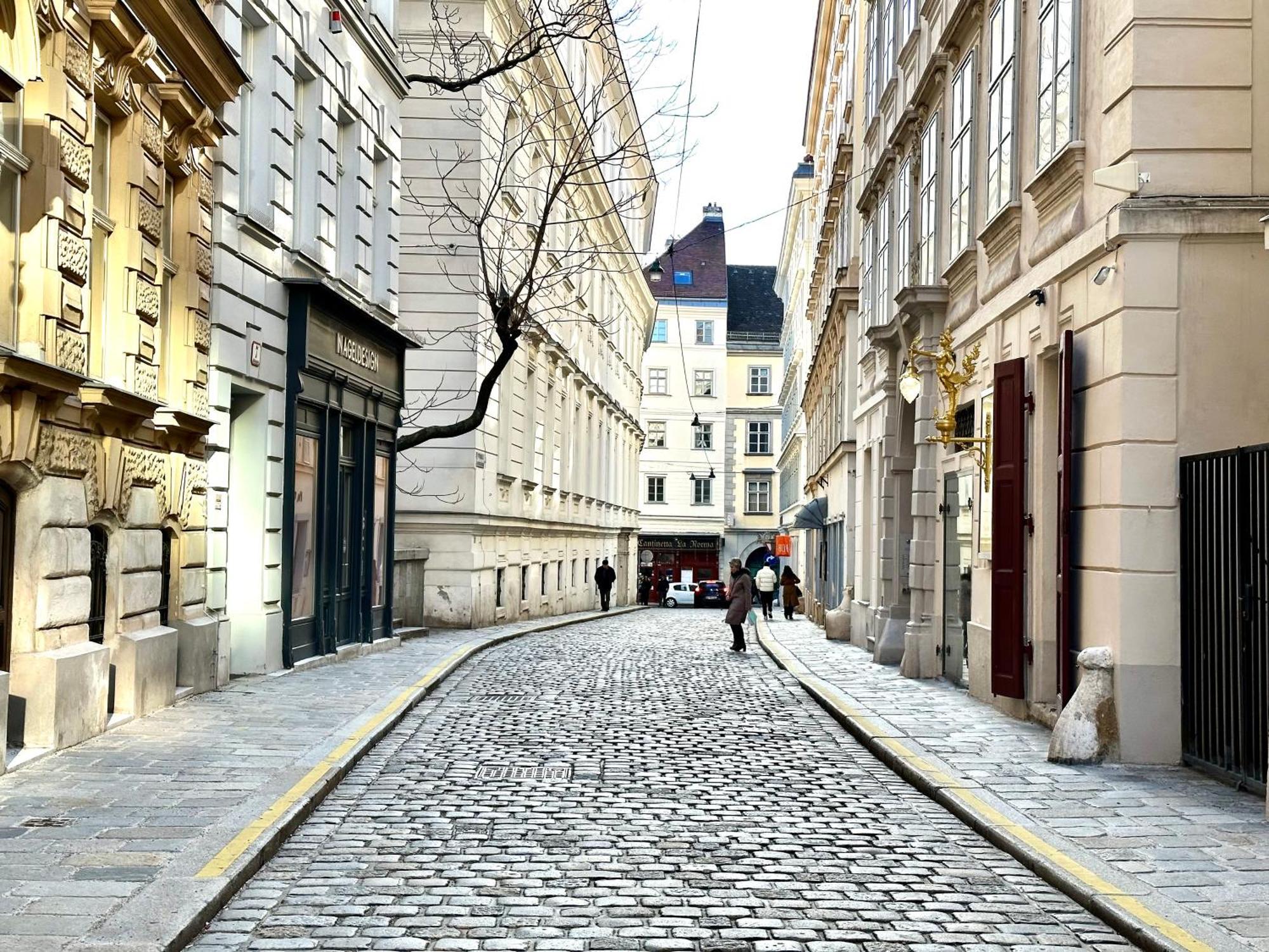 Central Stephansdom Apartment I Netflix I Self Check In Wien Eksteriør bilde